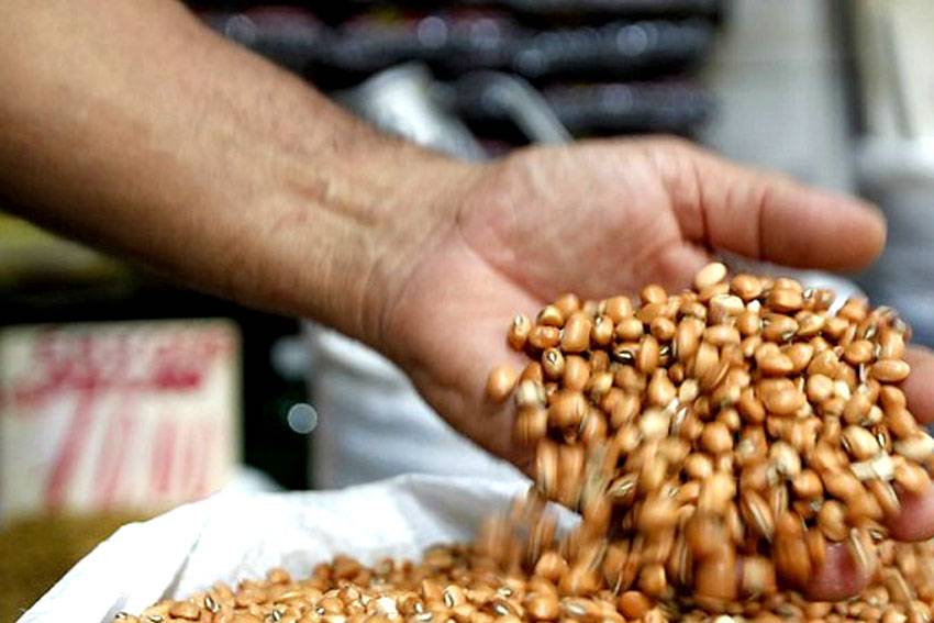 De que me serve um saco cheio de dinheiro pra comprar um quilo de feijão